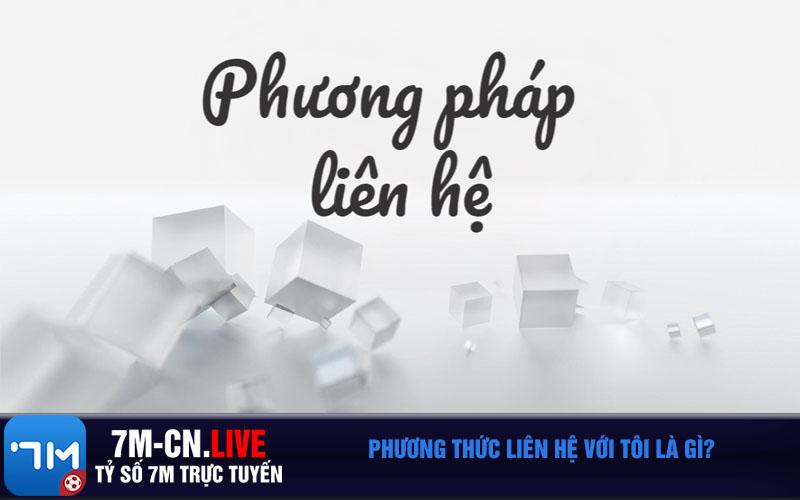Phương thức liên hệ với tôi là gì?