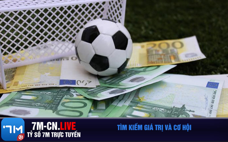 Tìm kiếm giá trị và cơ hội