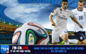 Game thủ cá cược hiểu thuật ngữ cá độ bóng đá thì được gì