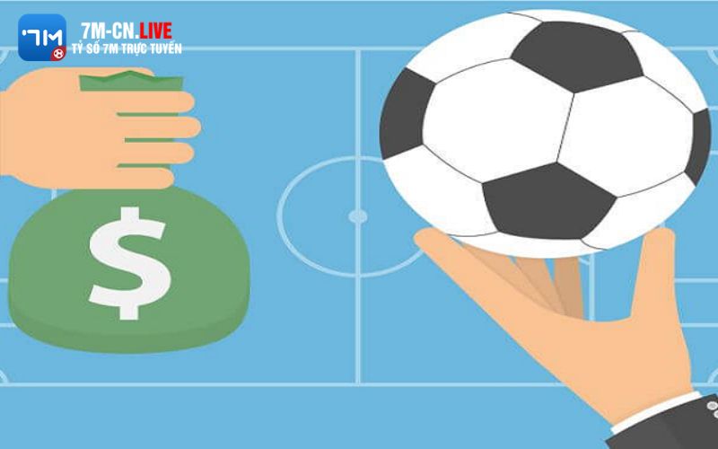 Áp dụng mẹo chơi cá cược bóng đá được chia sẻ nhiều