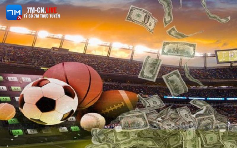 Trang cá độ bóng đá nhận được nhiều sự yêu thích từ mọi người