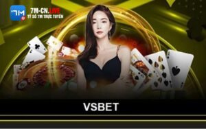 Giới thiệu Vsbet – Nền tảng cá cược hoạt động hợp pháp